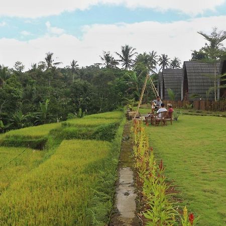 فندق Omah Bapak Ijen Eco House Licin المظهر الخارجي الصورة
