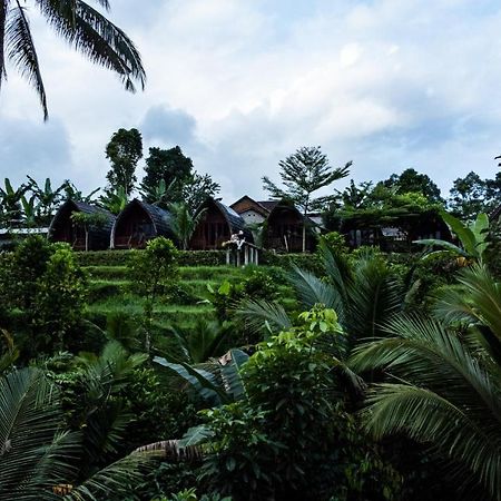 فندق Omah Bapak Ijen Eco House Licin المظهر الخارجي الصورة