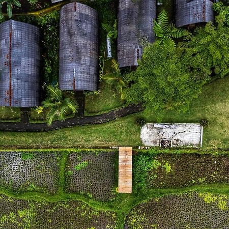 فندق Omah Bapak Ijen Eco House Licin المظهر الخارجي الصورة