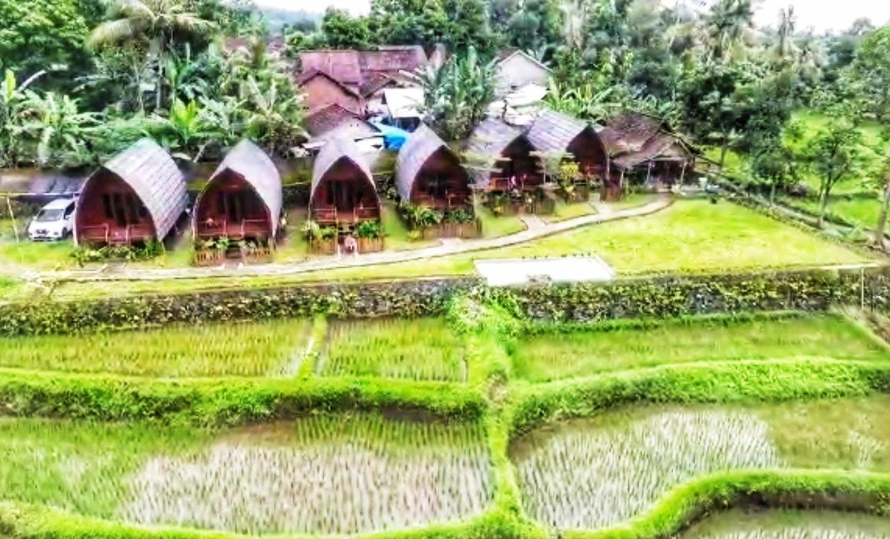 فندق Omah Bapak Ijen Eco House Licin المظهر الخارجي الصورة