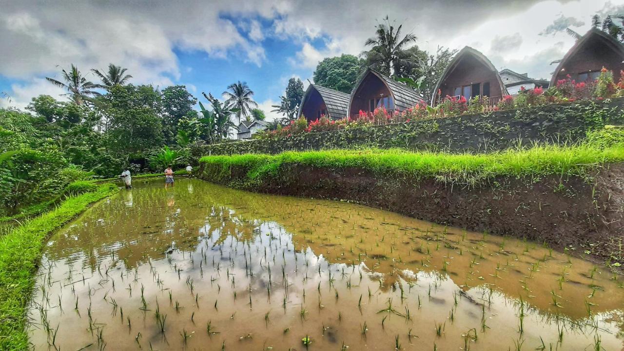 فندق Omah Bapak Ijen Eco House Licin المظهر الخارجي الصورة