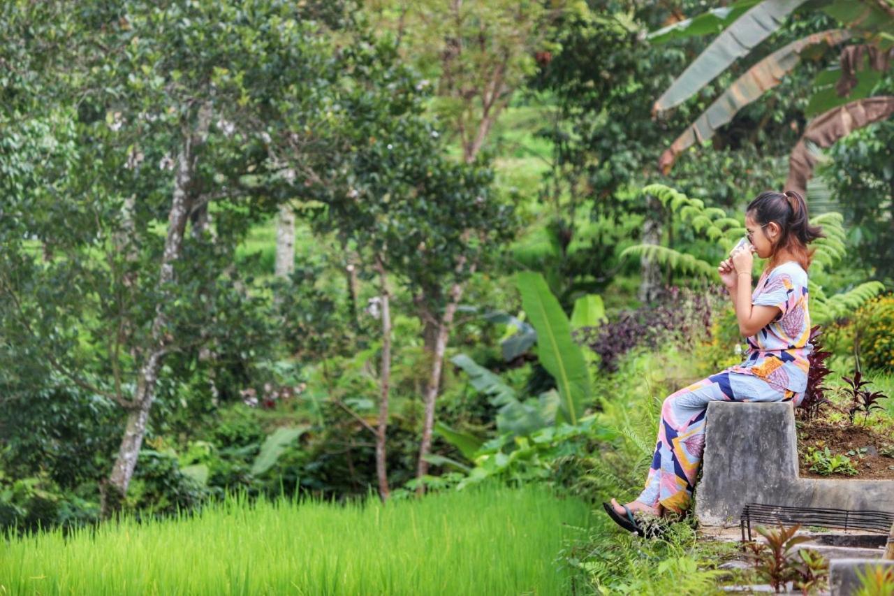 فندق Omah Bapak Ijen Eco House Licin المظهر الخارجي الصورة