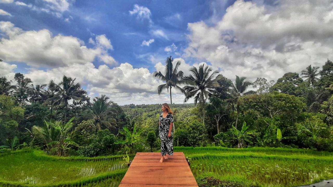 فندق Omah Bapak Ijen Eco House Licin المظهر الخارجي الصورة