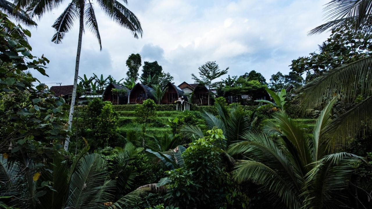 فندق Omah Bapak Ijen Eco House Licin المظهر الخارجي الصورة