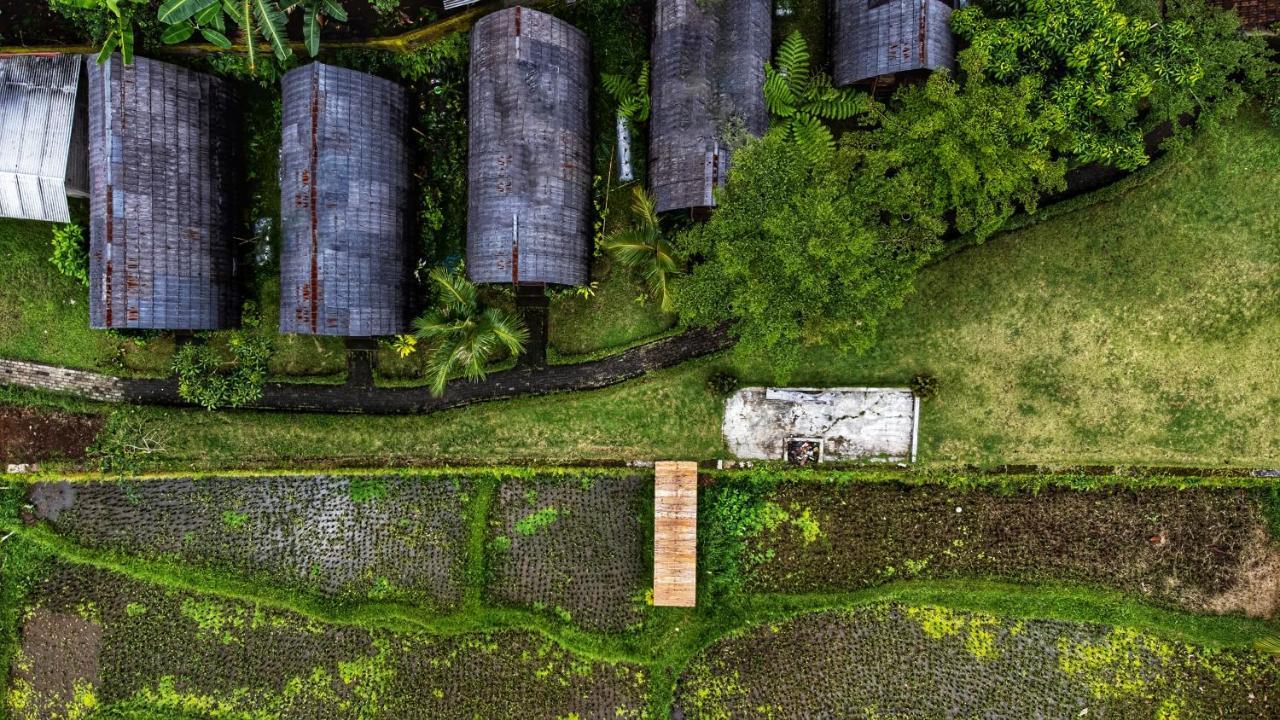 فندق Omah Bapak Ijen Eco House Licin المظهر الخارجي الصورة